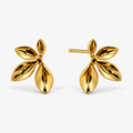 Dourado
